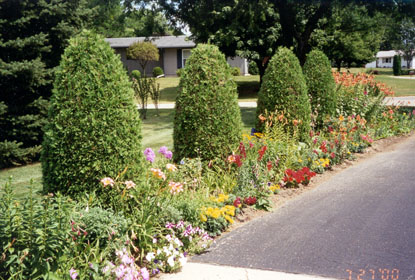 Front perrenial bed.