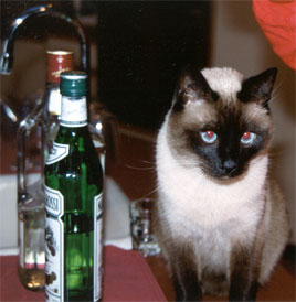 The bar tender.