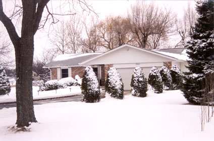 Winter