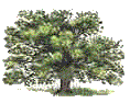 Oaktree