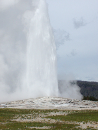 Old Faithful erupts