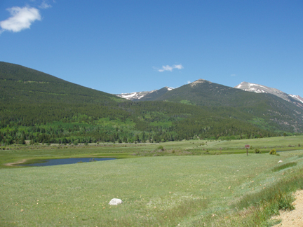 Coyote Meadow north
