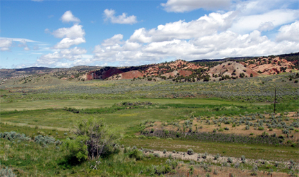 Scrubland